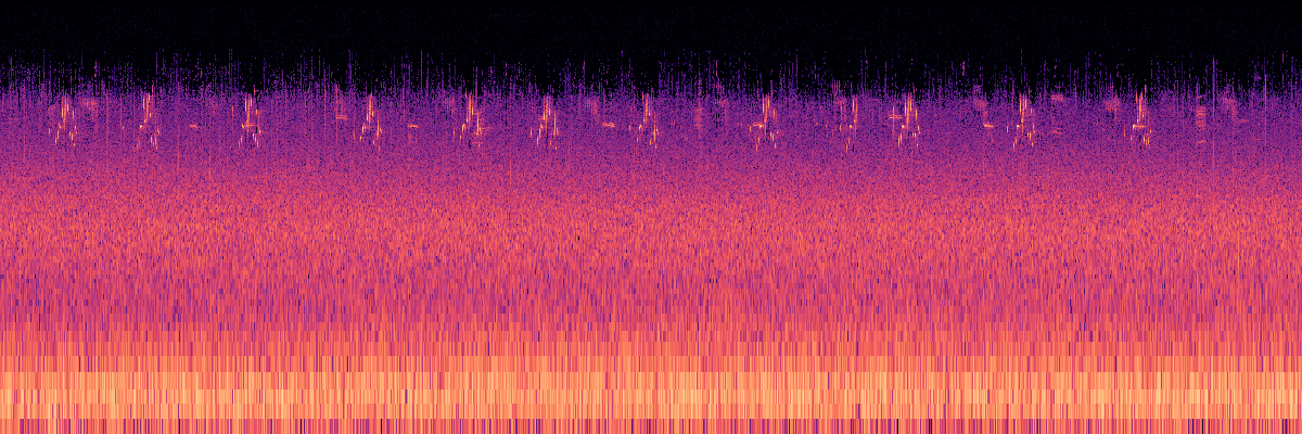 Spectrogram: Avian Chorus With Rain Showers